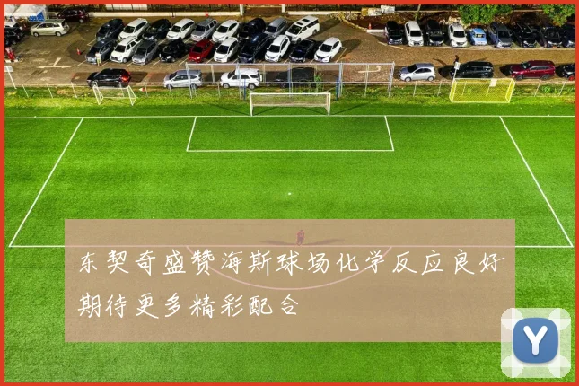 东契奇盛赞海斯球场化学反应良好期待更多精彩配合