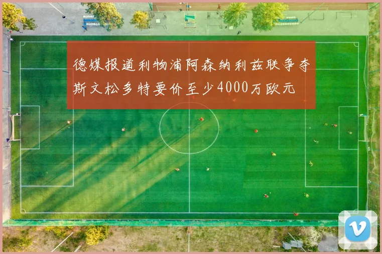 德媒报道利物浦阿森纳利兹联争夺斯文松多特要价至少4000万欧元